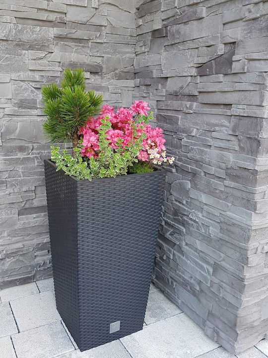 Prosperplast DRTS170 Κασπώ Rattan Γκρι