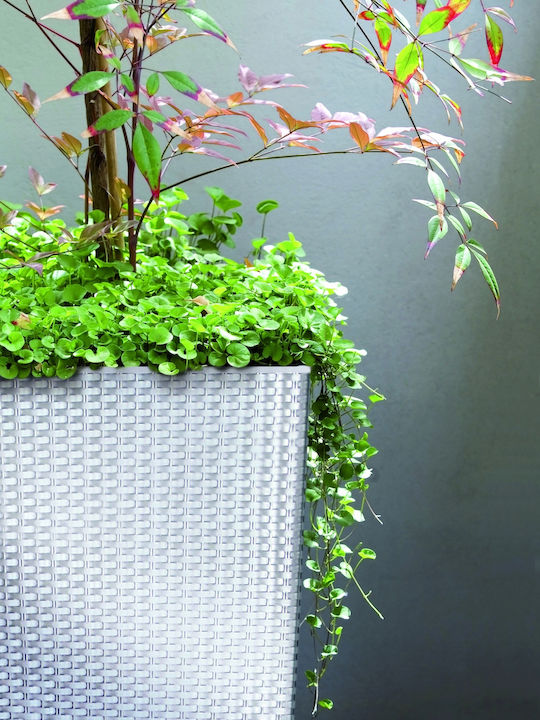 Prosperplast DRTS300 Übertopf Rattan Gray mit Gestell 29x29x55εκ.