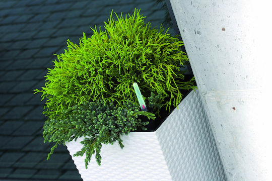 Prosperplast DRTS300 Ghiveci Rattan Gri cu suport 29x29x55εκ.