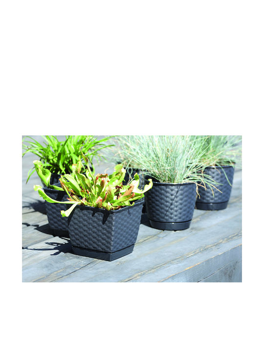 Prosperplast DRLK145 Planter Rattan White with Stand 14.5x14.5x12.5cm.