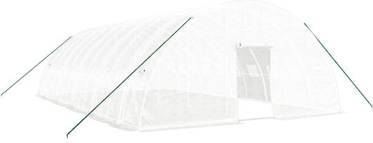 vidaXL 3188119 Gewächshaus Typ Haus mit Metallrahmen 10x6x2.85m