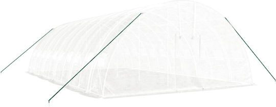 vidaXL 3188119 Gewächshaus Typ Haus mit Metallrahmen 10x6x2.85m