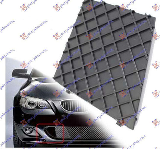 Prasco Bumper net Car for BMW Series 5 (E60/E61)