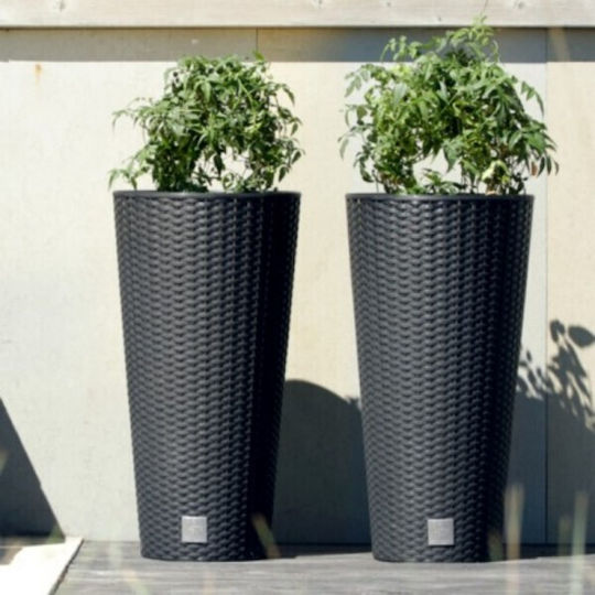 Prosperplast Rato Tubus DRTUS300 Blumentopf Rattan Gray Prosperplast Rato Tubus DRTUS300 Blumentopf Rattan Gray