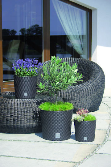 Prosperplast Rato Round DRTUS300L Übertopf Rattan Weiß mit Gestell 30x30x27εκ.