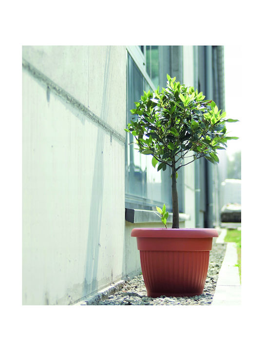 Prosperplast Terra Γλάστρα Πλαστική Terracotta 20x20x15.5εκ.