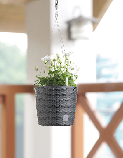 Prosperplast Rato W DRTW260 Висящи Саксия Ратан Сив 25.6x25.6x21.9εκ.