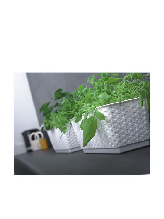 Prosperplast Ratolla Case P DRL500P Κασπώ Rattan Γκρι 49.2x17.2x17.4εκ.