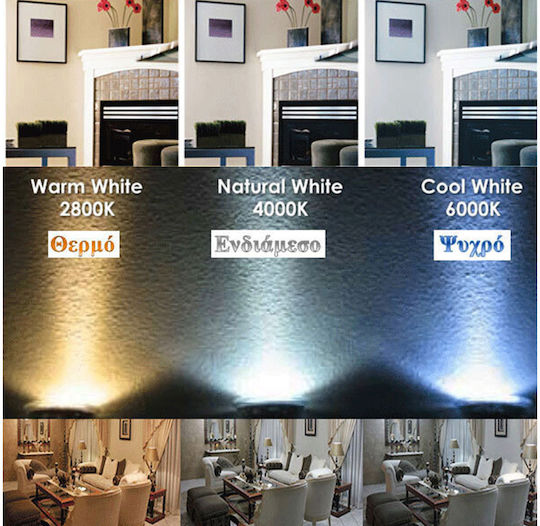 Eurolamp LED Bulb 4W 125mm for Socket E27 and Shape G125 Warm White 55lm Dimmable