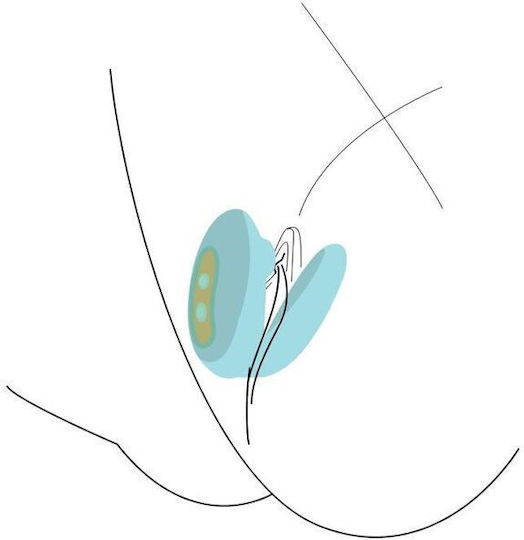 Xocoon Xocoon Vibrator für Paare Grün