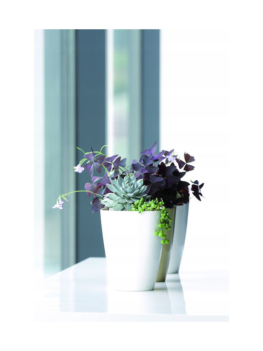 Prosperplast Coubi Orchid DUKOP Γλάστρα Πλαστική Διάφανο Prosperplast Coubi Orchid DUKOP Γλάστρα Πλαστική Διάφανο
