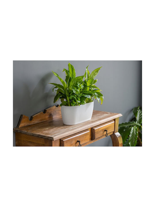 Form Plastic Mika Ζαρντινιέρα Πλαστική Forest moss 27x12x12εκ.