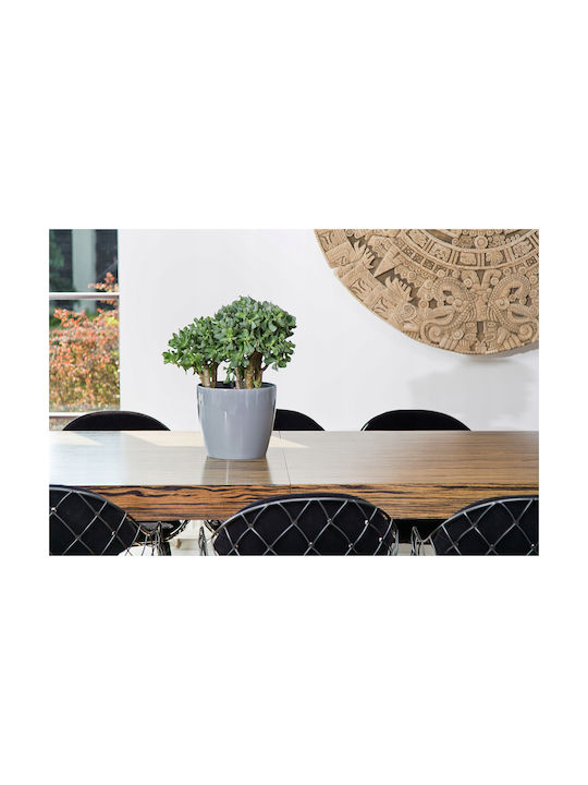 Lamela Magnolia Γλάστρα Πλαστική Λευκή 25x25x22εκ.