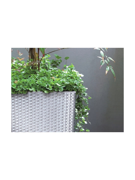 Prosperplast Rato Topf Kunststoff Anthracite 22.5x22.5x23cm.