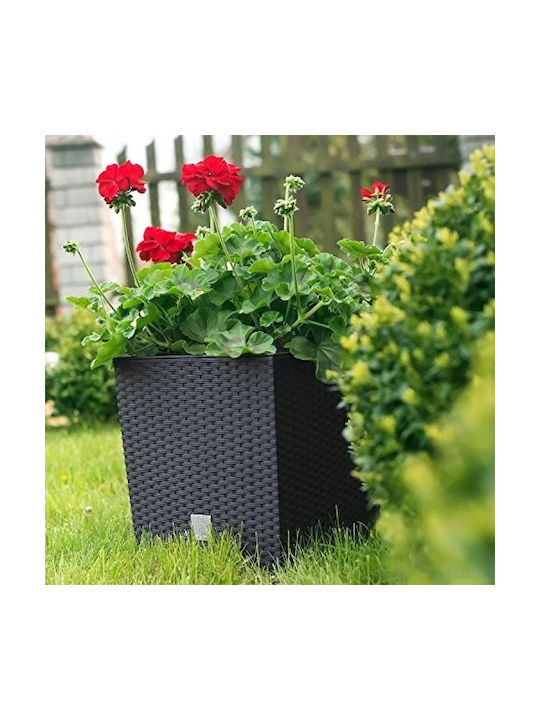 Prosperplast Rato Topf Kunststoff Anthracite 22.5x22.5x23cm.