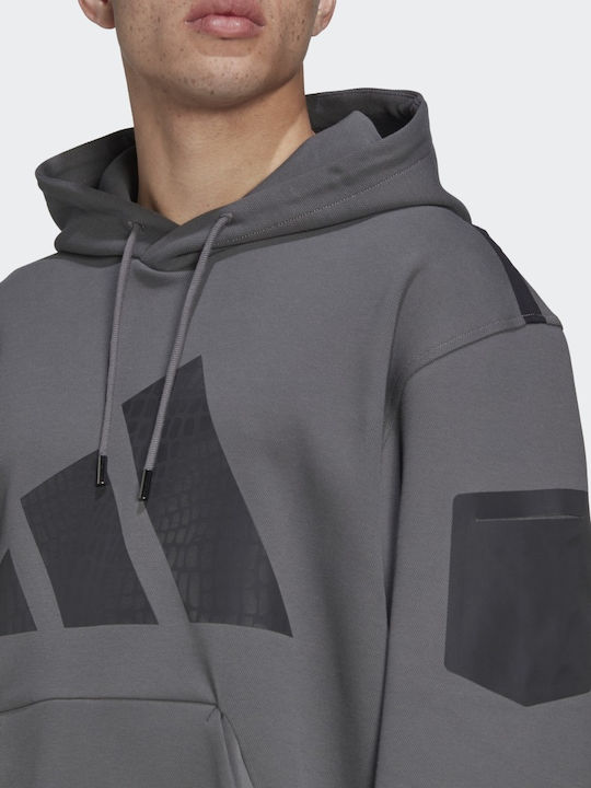 Adidas Training Men's Sweatshirt with Hood Gray