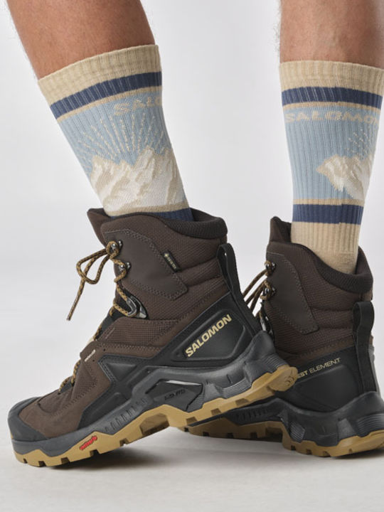 Salomon Quest Element GTX Men's Hiking Boots Waterproof with Gore-Tex Membrane Brown