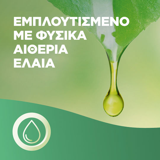 Airwick Ανταλλακτικό για Συσκευή Ψεκασμού με Άρωμα Turqoise Oasis 250ml