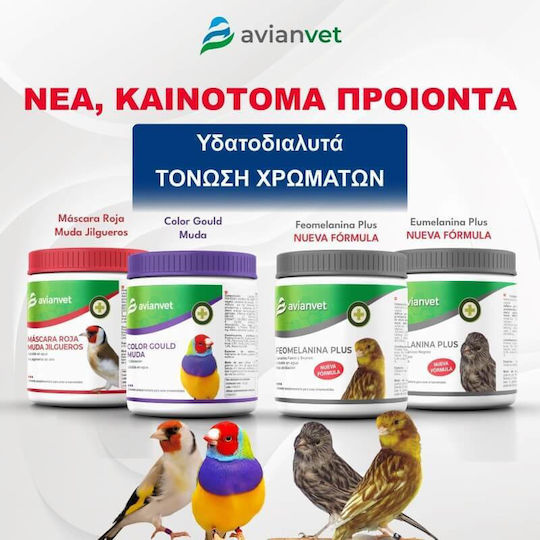 Avianvet Συμπλήρωμα Διατροφής Πτηνών 100gr