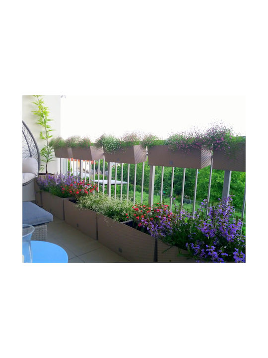 Marhome Rato Self-watering Planter Box Plastic Charcoal 60x25x24cm.