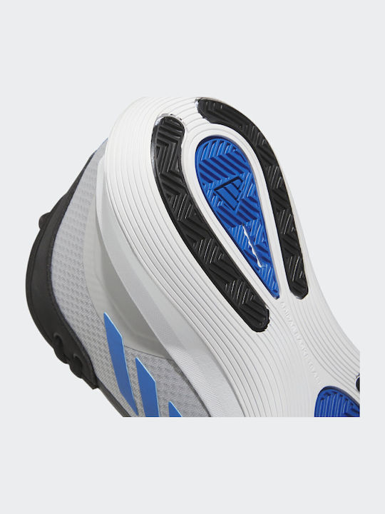 Legends Basketball Shoes Gray