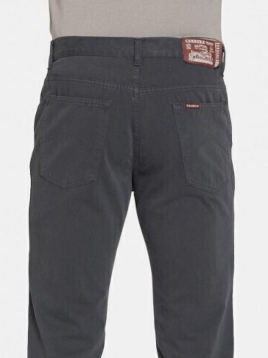 Trousers in Regular Fit Gray