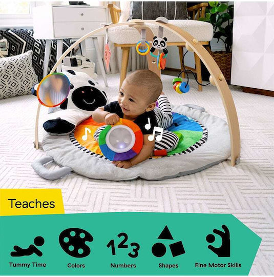 Baby Einstein Γυμναστήριο Δραστηριοτήτων για Νεογέννητα