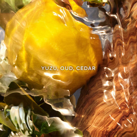 Guerlain Aqua Allegoria Forte Oud Yuzu Парфюмна вода Пълнител 200мл