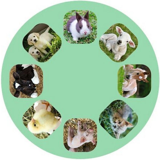 Moses Animal Geschichtenprojektor