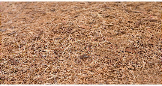 Sensillo Orthopädische Kinderbettmatratze mit Memory-Schaum 140x70+12cm