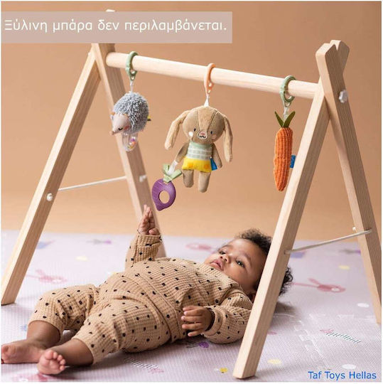 Taf Toys Pendant Toy for Car with Teether Activity
