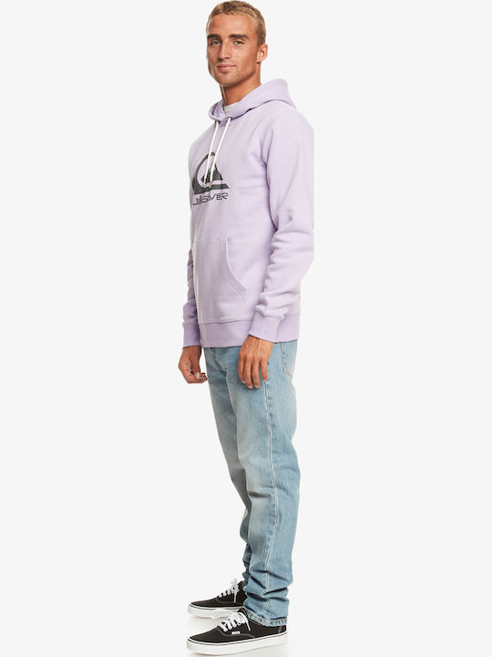 Big Logo Sweatshirt with Hood Purple