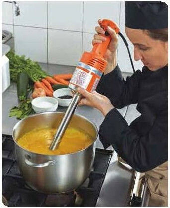Dynamic SENIOR DMX 300 Blender de mână comercial cu ax de 300mm și putere de 350W