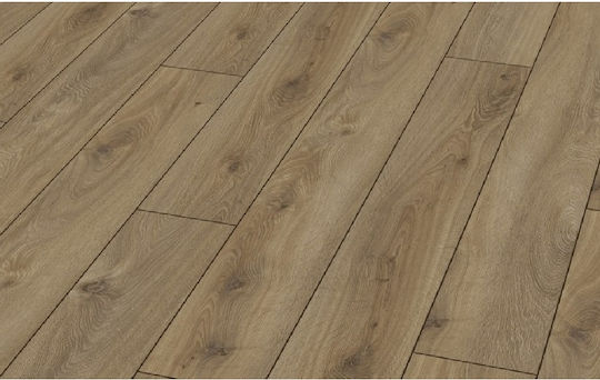 Kronotex Amazone Pardoseală laminată 10mm 3239
