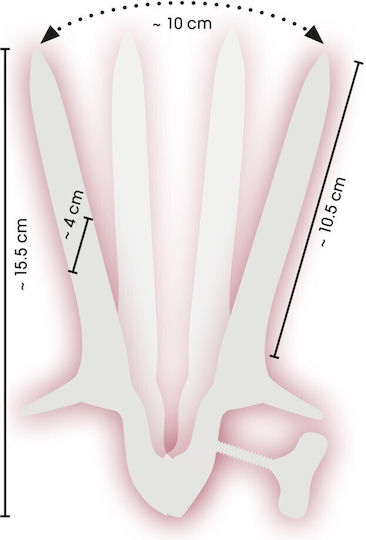 Fetish Collection BDSM Accessory Speculum in Silver Color