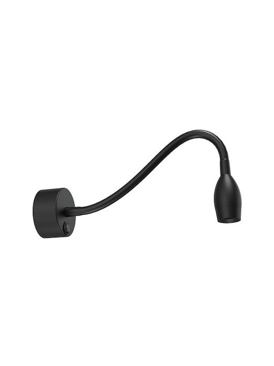 Lightex LED Natural White Spot in Black Color