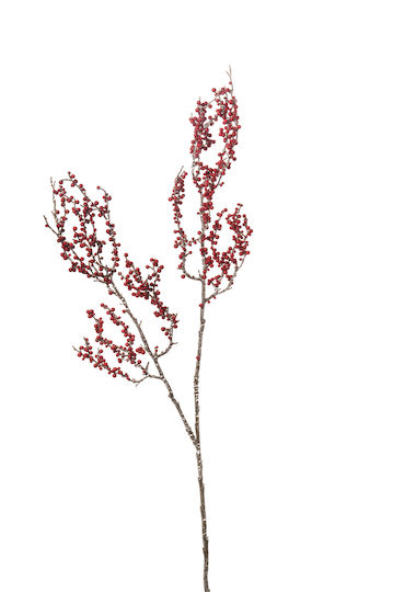 Arpimex Srl Weihnachtsdekoration Zweigstelle Länge 17cm.