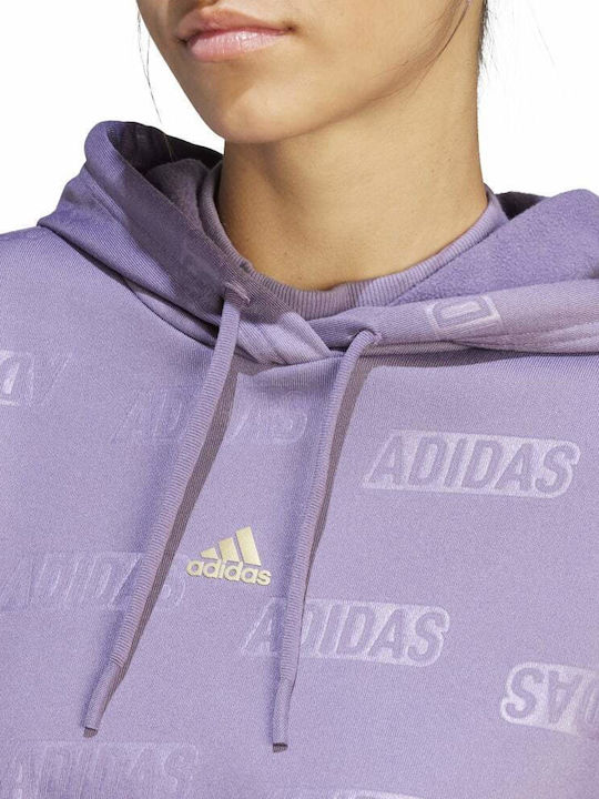 Damen Sweatshirt Kapuzen Lila