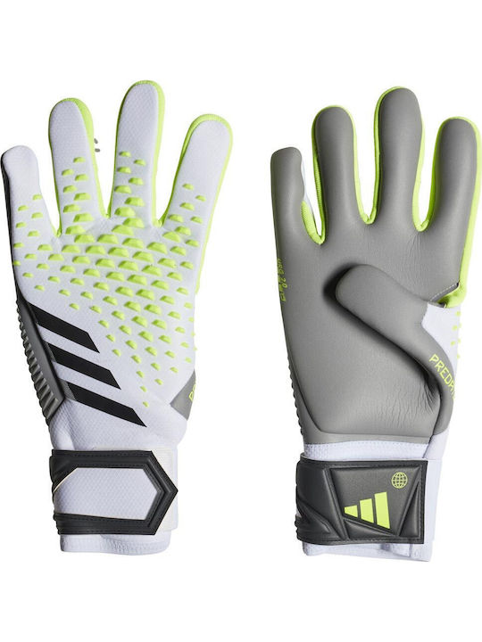 adidas Predator Competition Adults Goalkeeper Gloves White