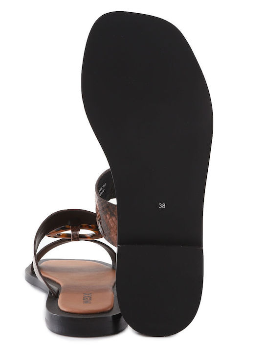 Mexx