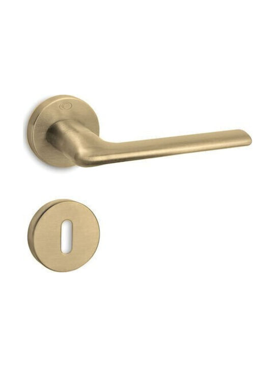 Convex Lever Front Door with Rosette 1485 1485RAYS26S26 Pair with Rosette Gold