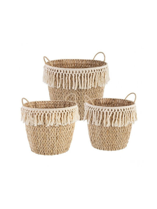 Wicker Decorative Basket Bizzotto