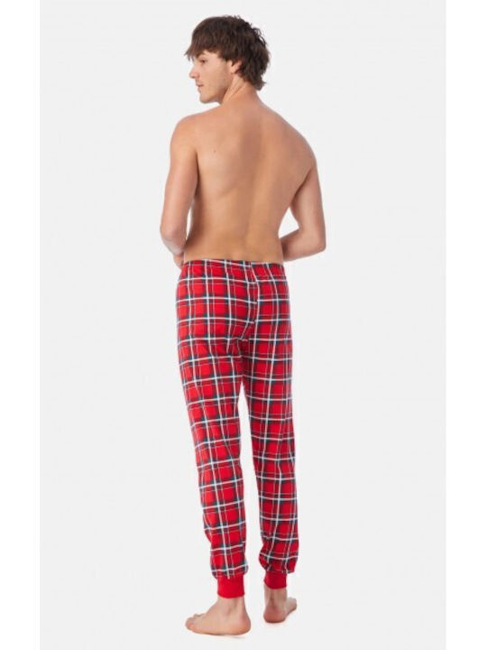 Minerva Plaid Red