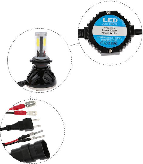 Xenon Set de Iluminare H11 Can bus 40W 12V 6000K Alb rece