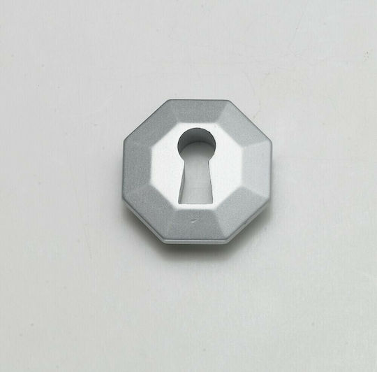 Pamar Rosette - Türschild Möbel Silber