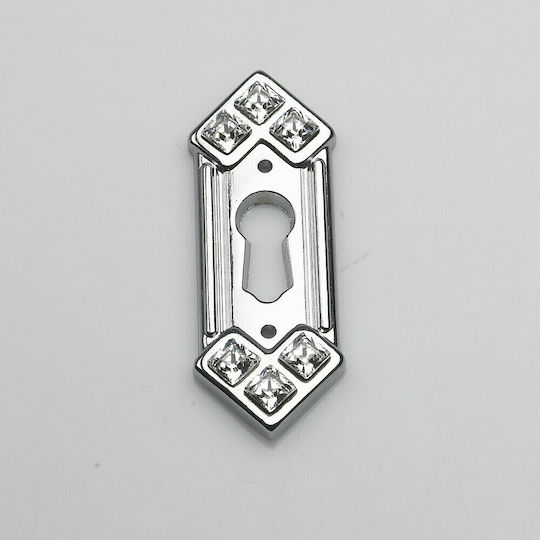 Rosette - Door Escutcheon Furniture Silver