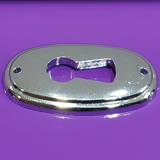 Rosette - Door Escutcheon Furniture Silver