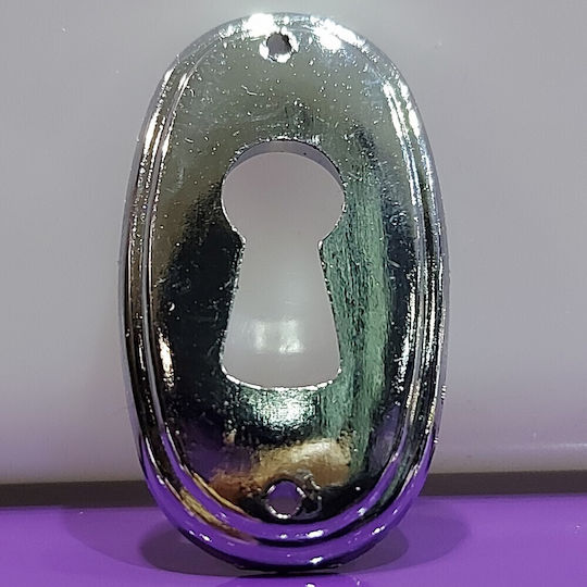 Rosette - Door Escutcheon Furniture Silver