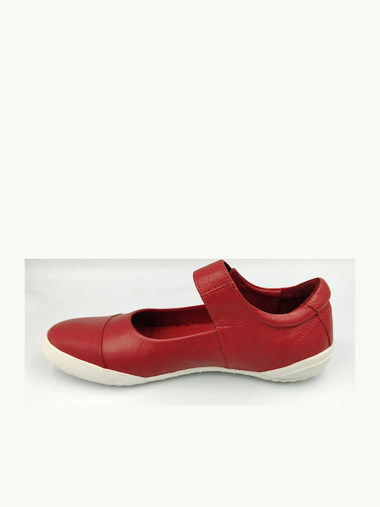 Aerostep Aerostep