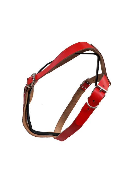 ByLeather Leder Rotes Hundegeschirr Small / Medium